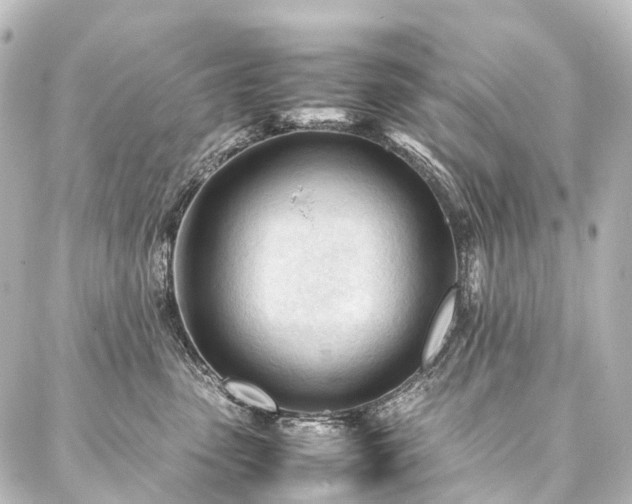 X0000088170475200705151153