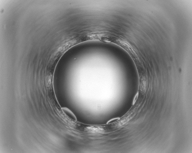 X0000088170477200705151153