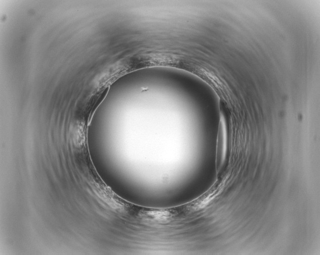 X0000088170478200705151153