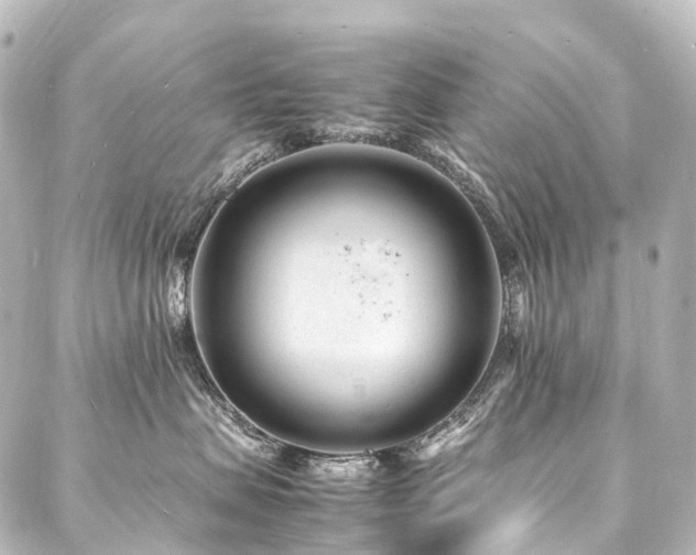 X0000088170479200705151153