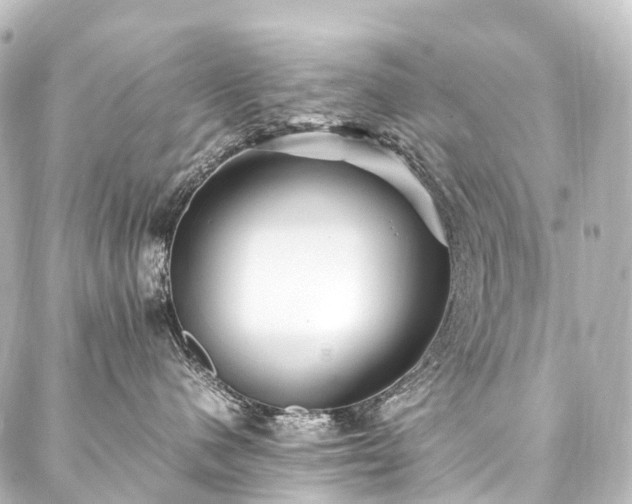 X0000088170480200705151153