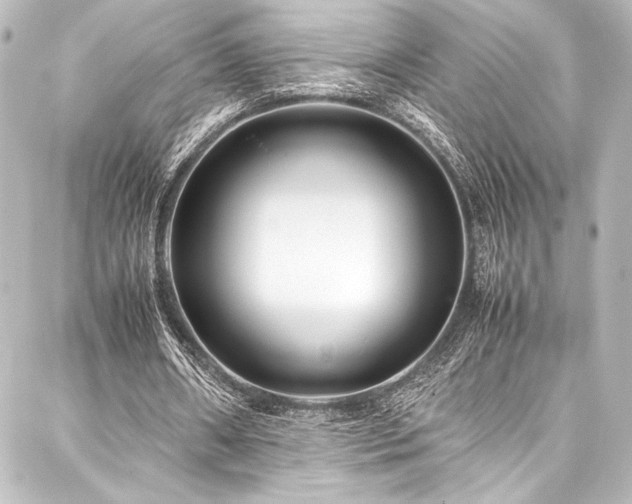 X0000088170482200705151152