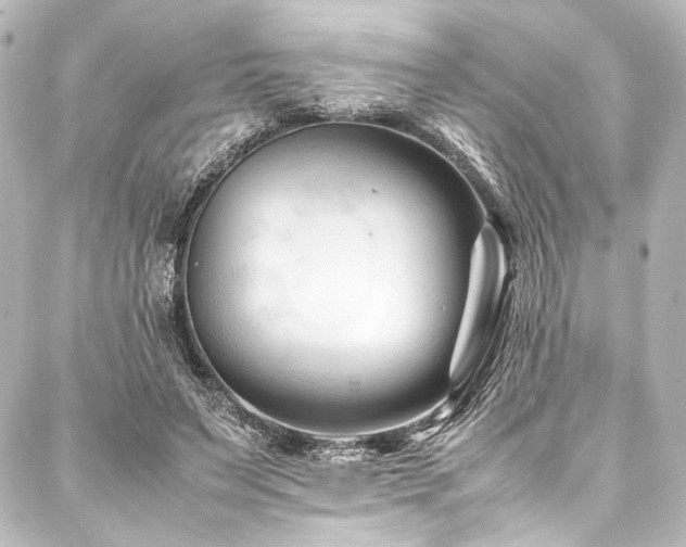 X0000088170495200705151152