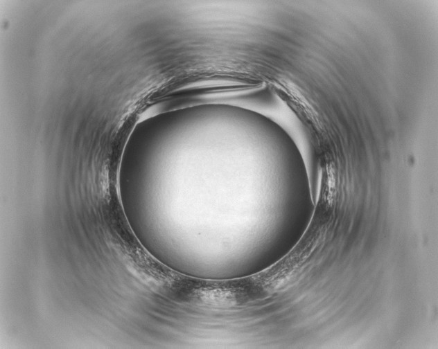 X0000088170500200705151152