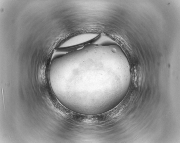 X0000088170504200705151152