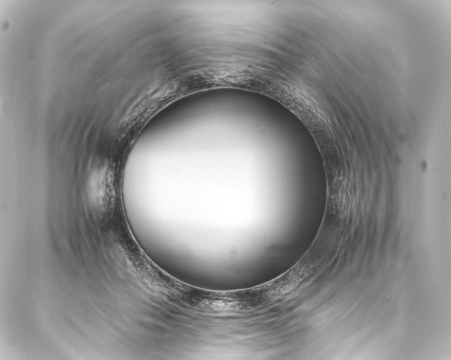 X0000088170506200705151152