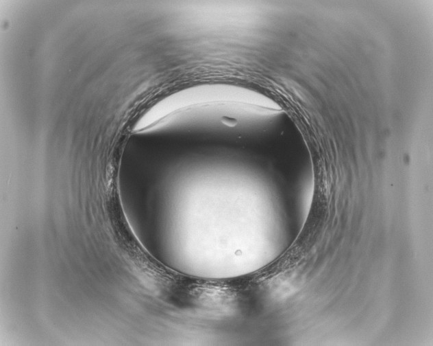 X0000088170507200705151152