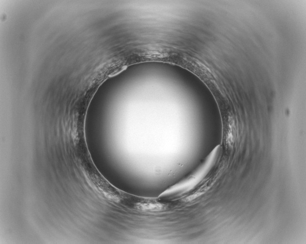 X0000088170512200705151152