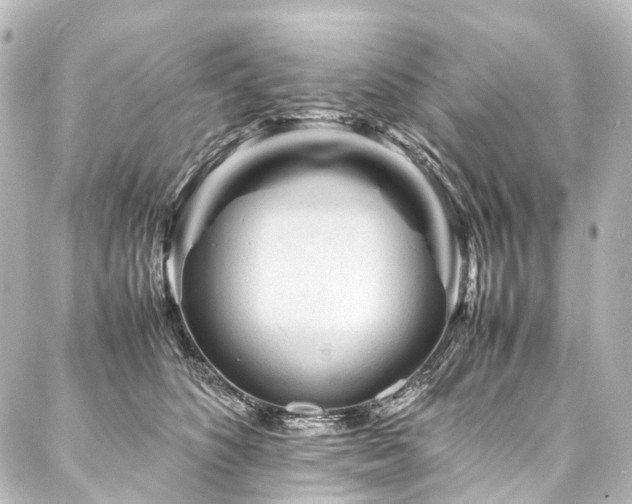X0000088170516200705151152