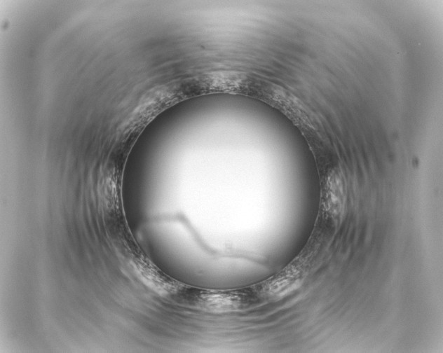 X0000088170522200705151151