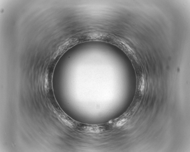 X0000088170524200705151151