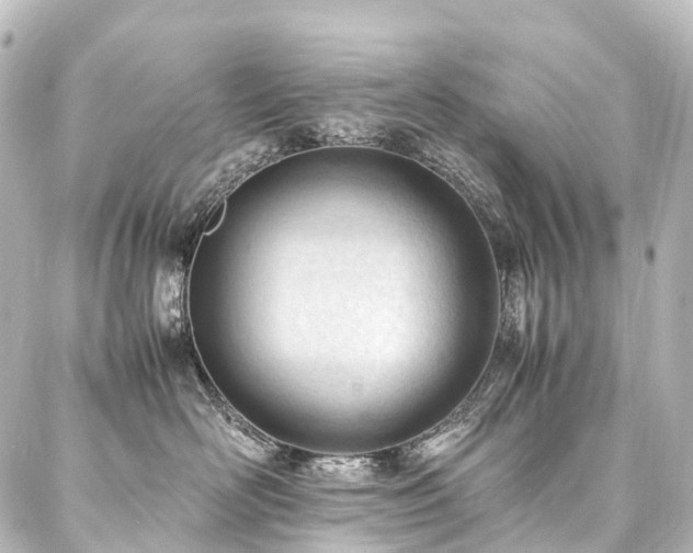 X0000088170526200705151151