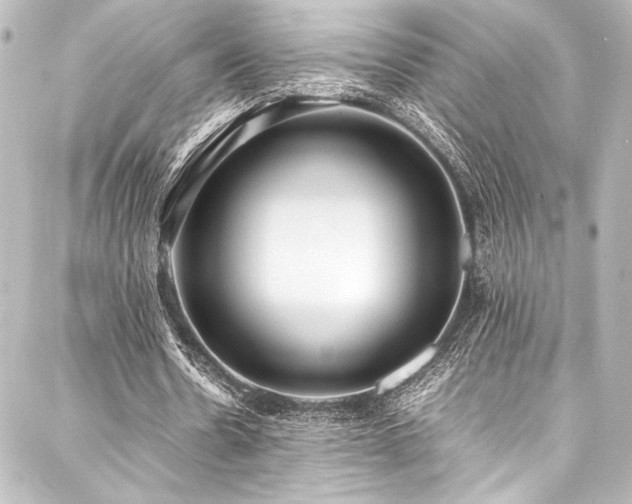 X0000088170530200705151151