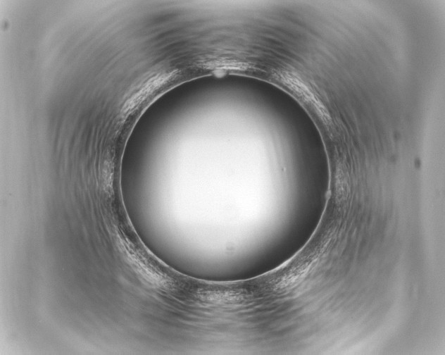 X0000088170533200705151151