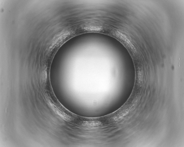 X0000088170541200705151151