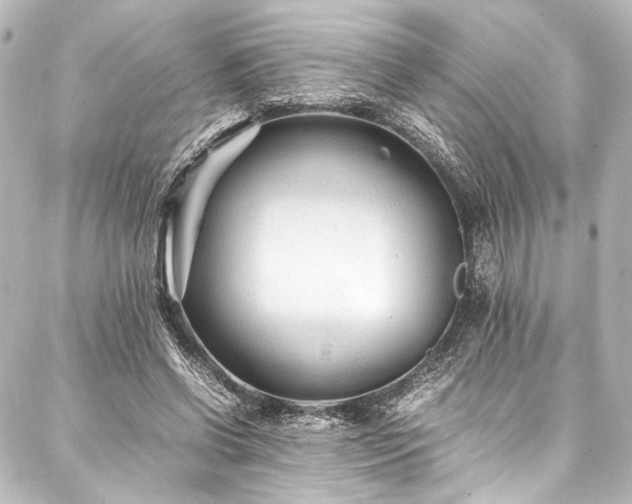 X0000088170542200705151151