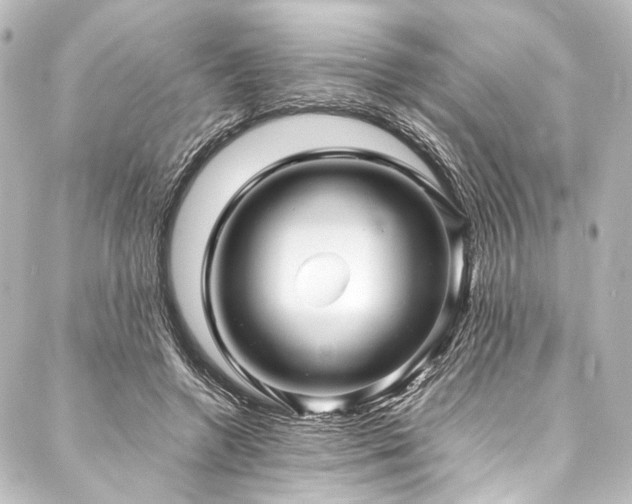 X0000088170546200705151151