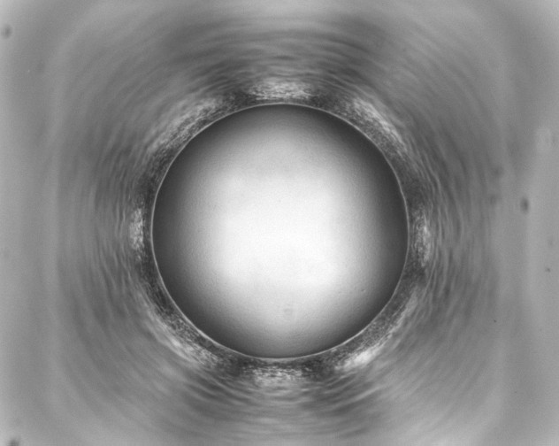 X0000088170549200705151151