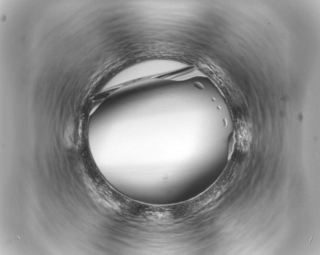 X0000088170552200705151151