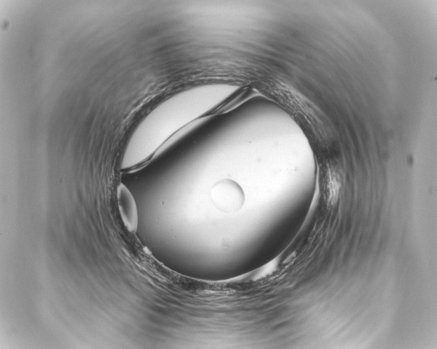 X0000088170556200705151151
