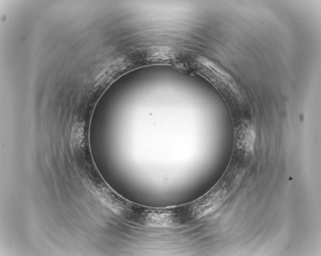 X0000088170560200705151151