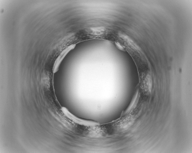 X0000088170562200705151151