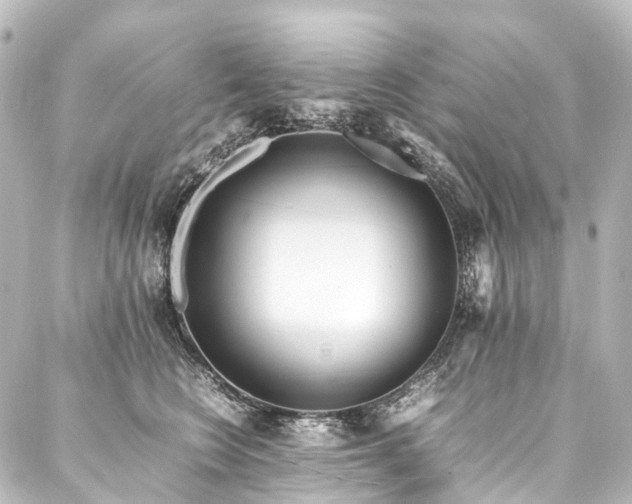 X0000088170566200705151151