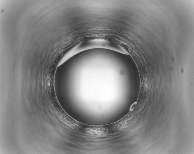 X0000088170567200705151151
