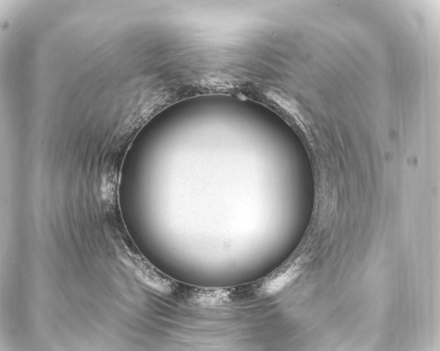 X0000088170576200705151151