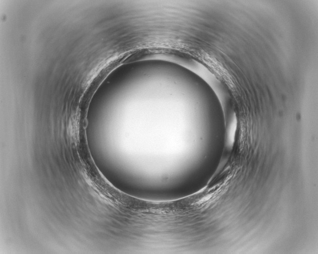 X0000088170580200705151150