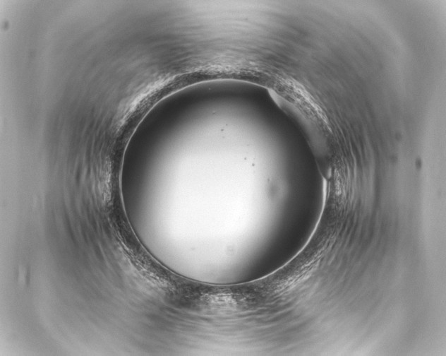 X0000088170588200705151150