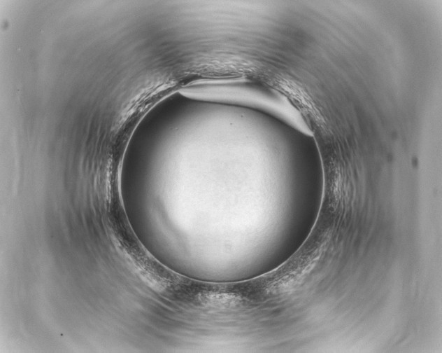 X0000088170590200705151150