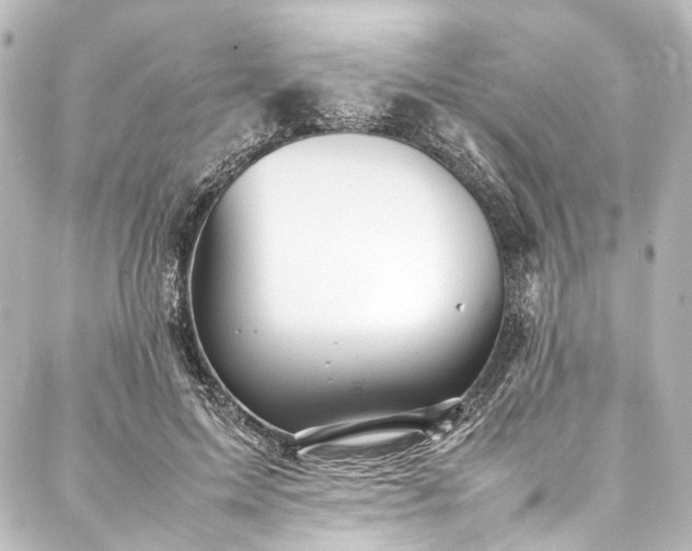 X0000088170599200705151150