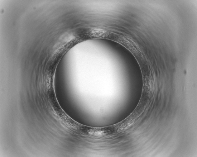 X0000088170602200705151150