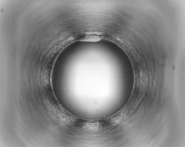 X0000088170606200705151150