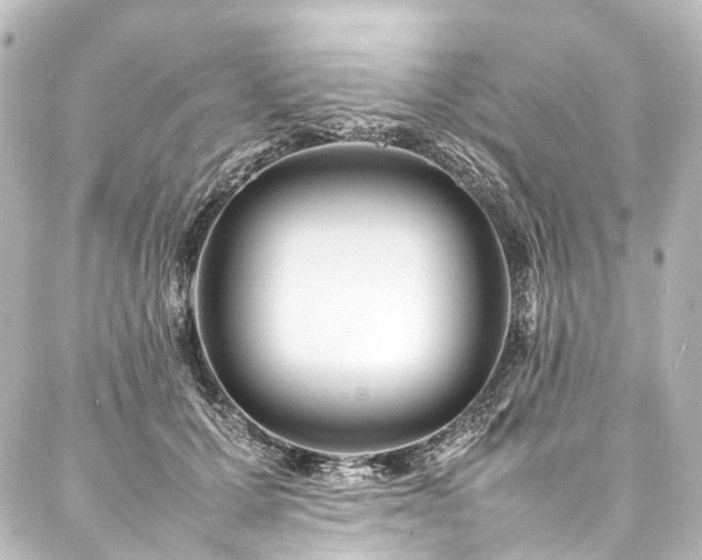 X0000088170607200705151150