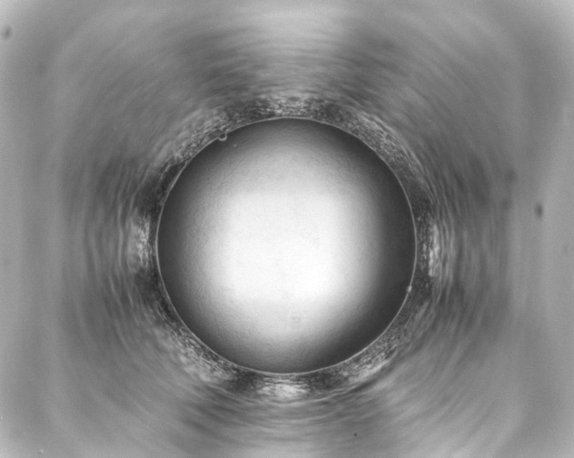 X0000088170610200705151150