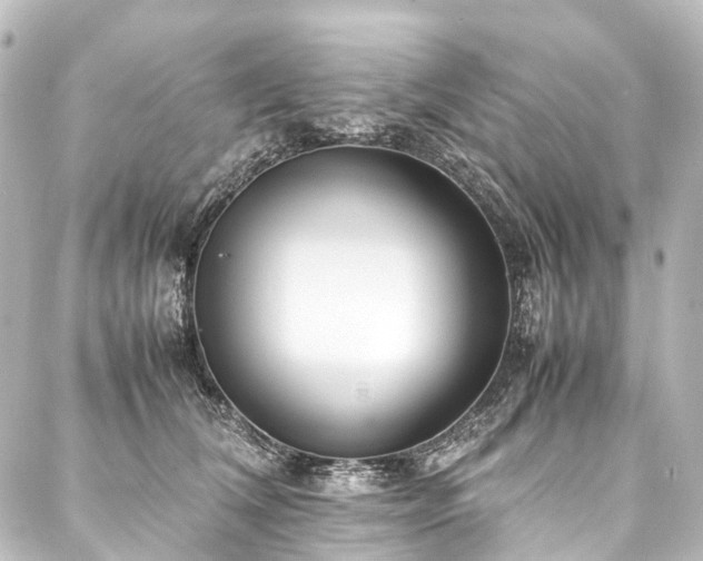 X0000088170612200705151150