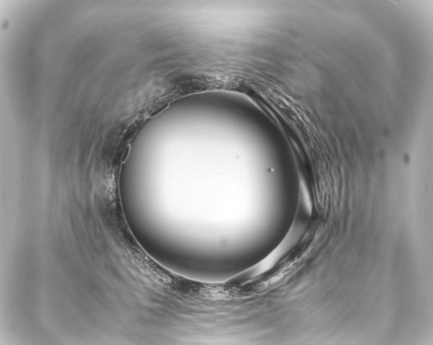 X0000088170613200705151150