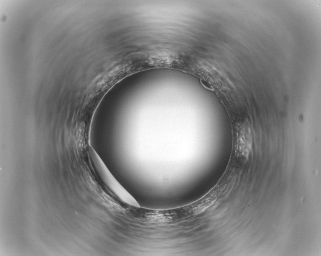 X0000088170616200705151150