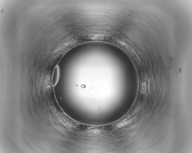 X0000088170620200705151150