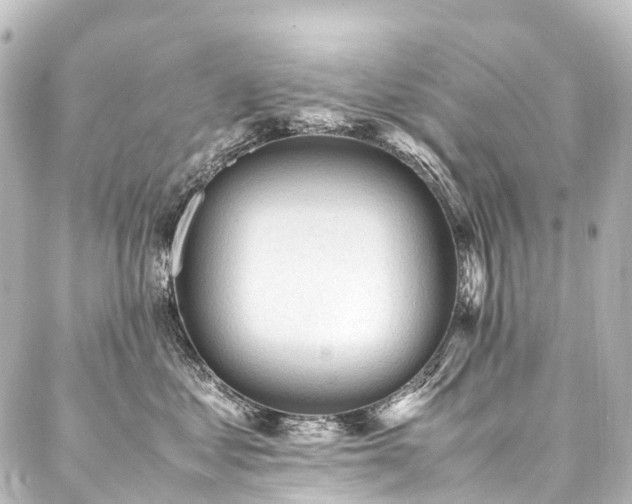 X0000088170621200705151150