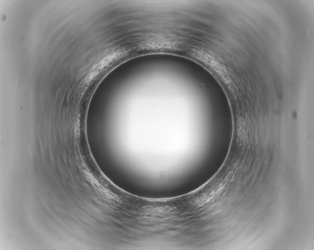 X0000088170629200705151149