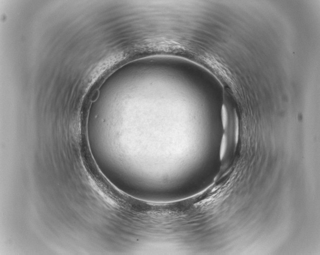 X0000088170630200705151149