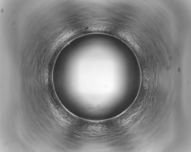 X0000088170631200705151149