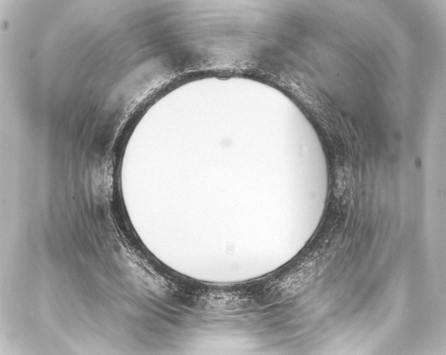 X0000088170632200705151149