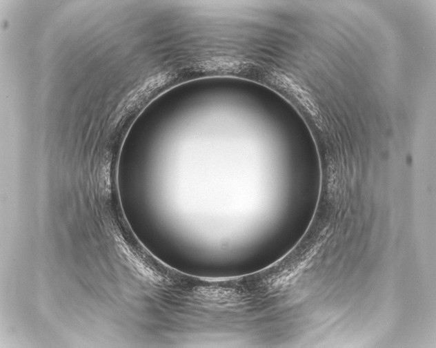 X0000088170633200705151149