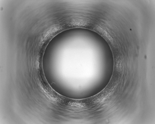 X0000088170635200705151149