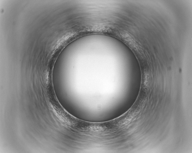 X0000088170636200705151149