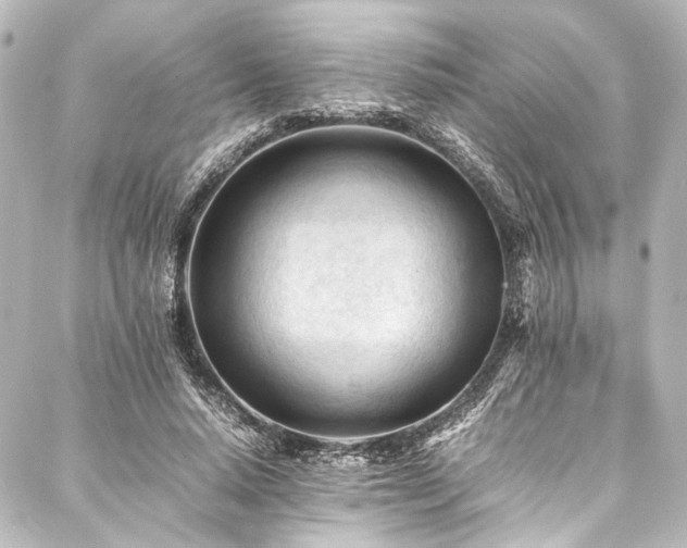 X0000088170640200705151149